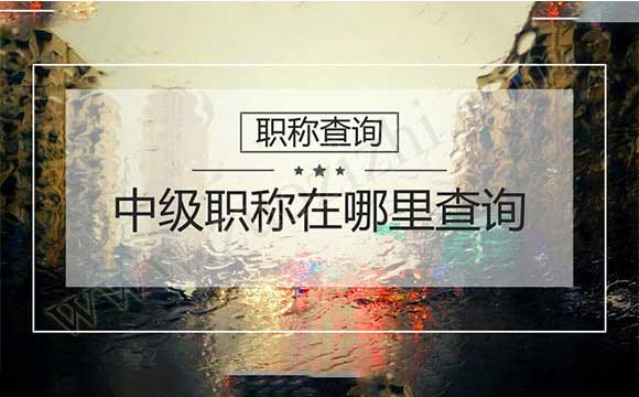 河北专业技术资格人员信息网