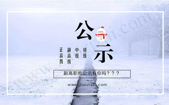 副高职称公示结果