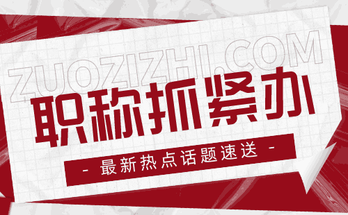 《其它硅酸盐材料高级职称评审要点——职场晋升之路不容错过》