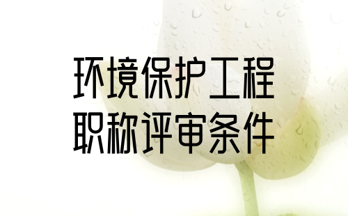 2024年申报职称证书：环境保护工程系列环境保护及评价工程技术专业