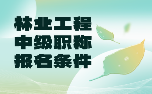 2024年林业工程中级职称报名条件：林草信息技术专业申报工程师