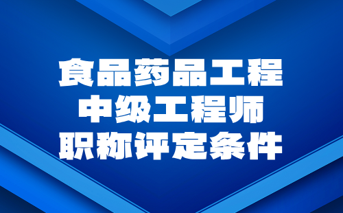 2024年食品药品工程中级工程师职称评定条件：化学类专业评审工程师